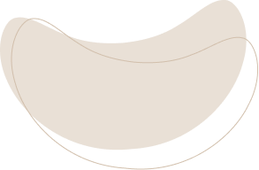 layout-slider2-031.png